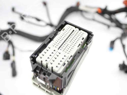 Wiring harness FORD B-MAX (JK)  | BP19235800E16 