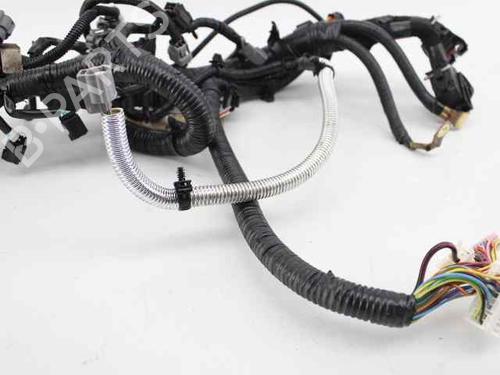 Wiring harness NISSAN QASHQAI / QASHQAI +2 I (J10, NJ10, JJ10E)  | BP19231317E16 