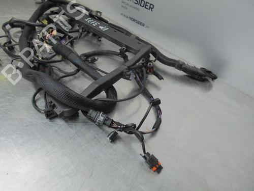Wiring harness MERCEDES-BENZ S-CLASS (W220)  | BP19188575E16 