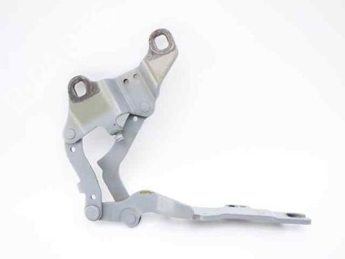 Hinge/Door check strap BMW 3 (E90) 318 i | BP19338331C146 