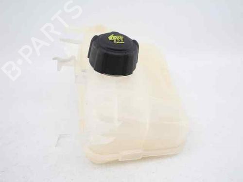 Expansion tank RENAULT GRAND SCÉNIC III (JZ0/1_) 1.5 dCi (JZ09, JZ0D, JZ10, JZ14, JZ1G, JZ29, JZ2C) | BP19233712C120 