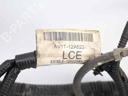 Wiring harness FORD FIESTA VI (CB1, CCN) 1.5 TDCi | BP19223293E16 