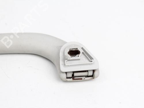 Interior roof handle VW POLO (9N_, 9A_) 1.9 SDI | BP19206013I35 
