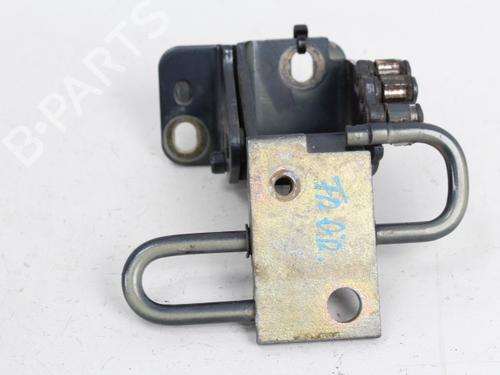 Hinge/Door check strap VW POLO IV (9N_, 9A_) 1.9 SDI | BP19206000C146 