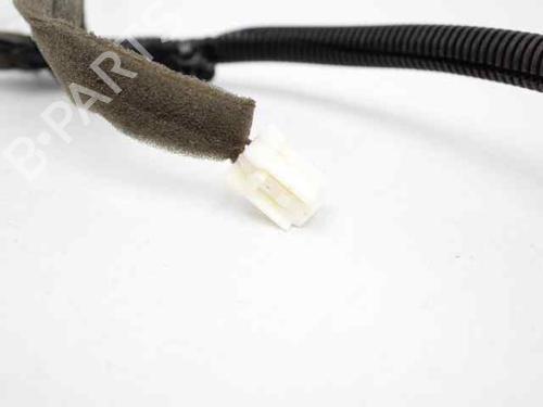 Wiring harness NISSAN QASHQAI / QASHQAI +2 I (J10, NJ10, JJ10E)  | BP19227857E16 