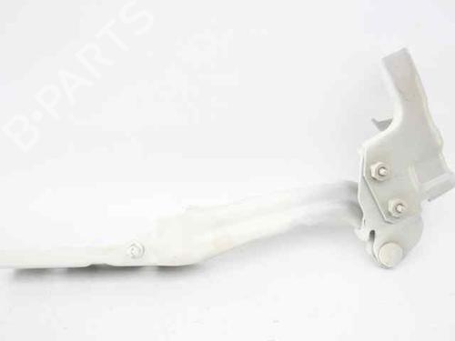 Hinge/Door check strap ALFA ROMEO GIULIETTA (940_) 2.0 JTDM (940.FXL1A) | BP19234102C146 