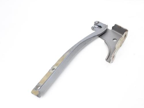 Hinge/Door check strap FIAT GRANDE PUNTO (199_) 1.3 D Multijet (199.AXD11, 199.AXD1A, 199.AXD1B,... | BP19210068C146 