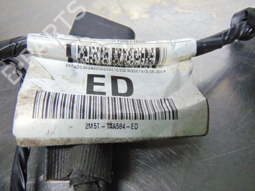Wiring harness FORD FOCUS I (DAW, DBW)  | BP19196036E16 