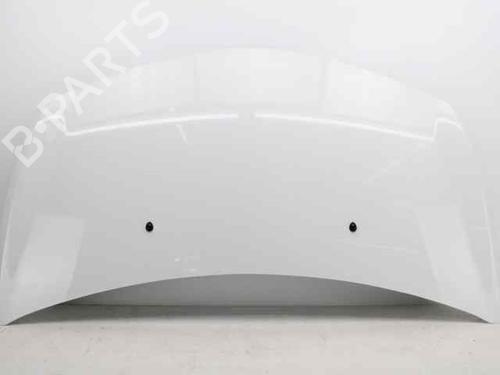 Used Hood RENAULT CLIO III (BR0/1, CR0/1) 1.5 dCi (BR17, CR17) (86 hp) 19221840