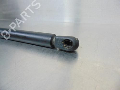 Hood lift support SEAT LEON (1M1)  | BP19191855C139 