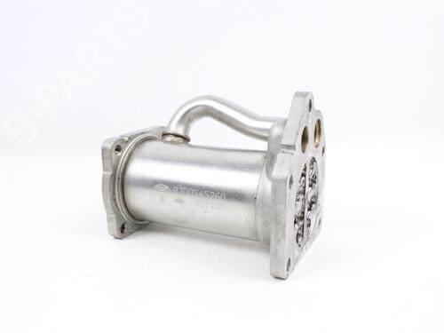 Used Egr RENAULT CLIO III (BR0/1, CR0/1) 1.5 dCi (BR17, CR17) (86 hp) 19211767