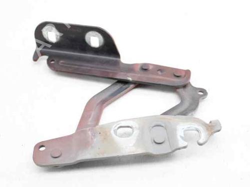 Hinge/Door check strap FORD FIESTA VI (CB1, CCN)  | BP19226229C146 