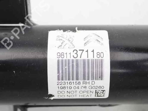 Right front shock absorber CITROËN C3 III (SX) 1.2 PureTech 82 | BP30448222M17