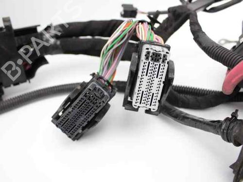 Wiring harness RENAULT SCÉNIC III (JZ0/1_) 1.5 dCi (JZ02, JZ0R) | BP19235025E16 