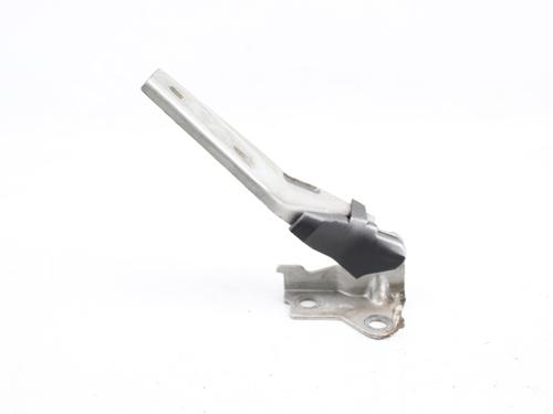 Hinge/Door check strap SEAT LEON (1M1) 1.4 16V | BP19214406C146 