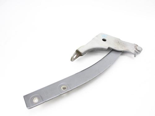 Hinge/Door check strap FIAT GRANDE PUNTO (199_) 1.3 D Multijet (199.AXD11, 199.AXD1A, 199.AXD1B,... | BP19210068C146 
