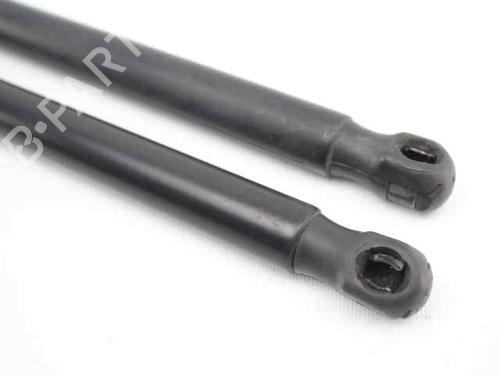 Tailgate lift support FORD FIESTA VI (CB1, CCN)  | BP19225096C138 
