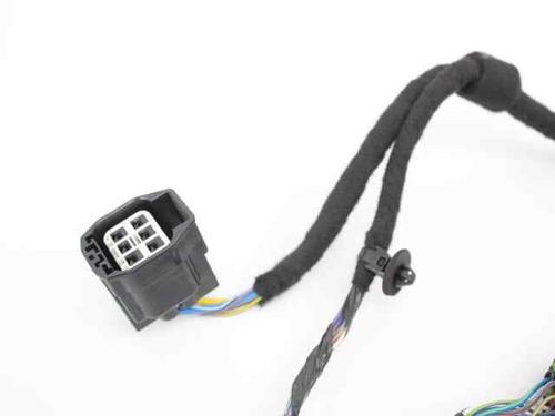 Wiring harness FORD B-MAX (JK)  | BP19235776E16 