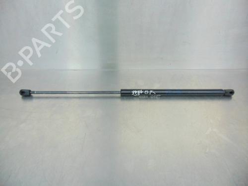 Hood lift support SEAT LEON (1M1)  | BP19191855C139 