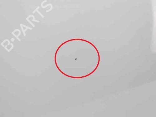 Right front door FIAT GRANDE PUNTO (199_)  | BP19222852C3 