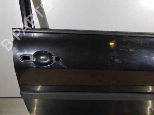 Right front door RENAULT MEGANE II (BM0/1_, CM0/1_) 1.9 dCi | BP19194452C3 