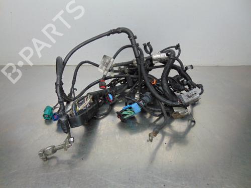 Wiring harness FORD FOCUS II Turnier (DA_, FFS, DS) 1.4 | BP19195788E16 