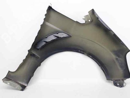 Left front fenders FORD S-MAX (WA6)  | BP19242178C41 