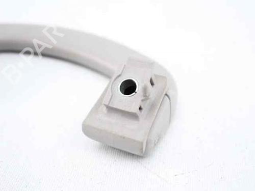 Interior roof handle FIAT BRAVO II (198_) 1.9 D Multijet (198AXB1A) | BP19231466I35 