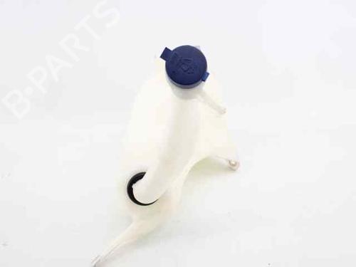 Windscreen washer tank FIAT BRAVO II (198_) 1.9 D Multijet (198AXB1A) | BP19231568C113 