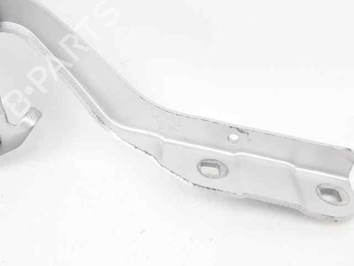 Hinge/Door check strap RENAULT CLIO IV (BH_) 0.9 TCe 90 (BHNF, BHMA, BHMH, BHJK, BHJR) | BP29986928C146