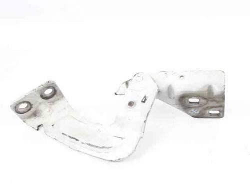 Hinge/Door check strap RENAULT KANGOO Express (FC0/1_) 1.5 dCi (FC07, FC1R) | BP19213480C146 