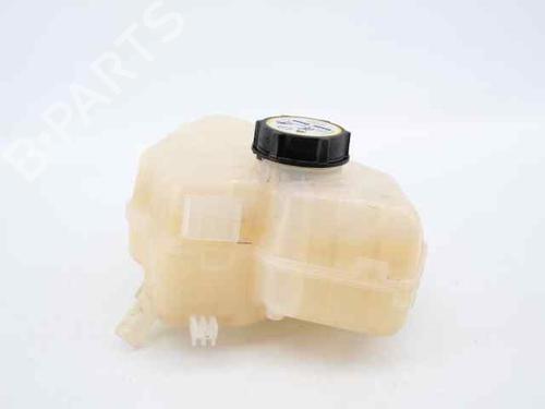 Expansion tank FORD FIESTA VI (CB1, CCN) 1.5 TDCi | BP19223309C120 