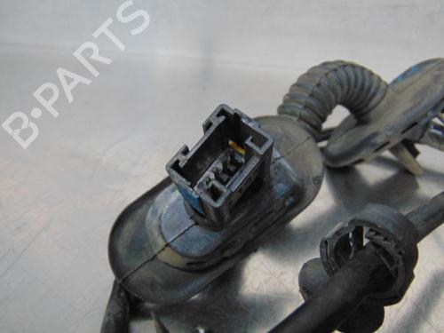 Wiring harness RENAULT CLIO II (BB_, CB_) 1.5 dCi (B/CB07) | BP19201808E16 