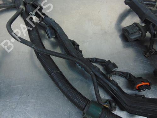 Wiring harness HONDA JAZZ II (GD_, GE3, GE2) 1.2 i-DSI (GD5, GE2) | BP19195752E16 