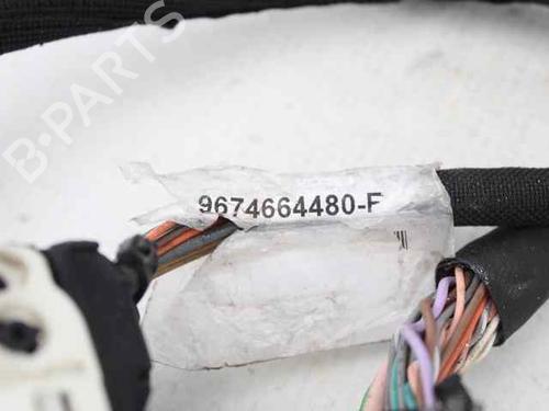 Wiring harness CITROËN C4 CACTUS 1.2 VTi 82 | BP32224126E16 