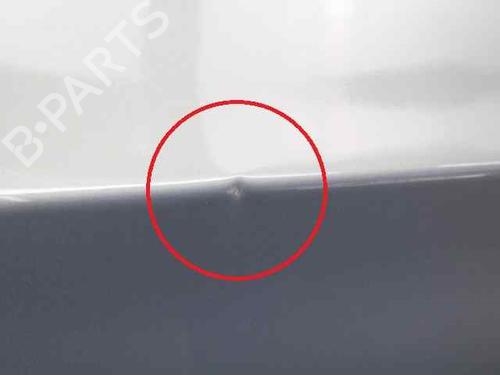 Left front door BMW 3 (E90) 318 i | BP19338276C2 