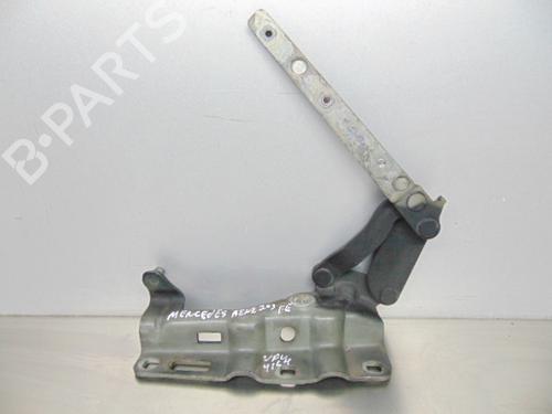 Hinge/Door check strap MERCEDES-BENZ C-CLASS (W203)  | BP19191430C146 