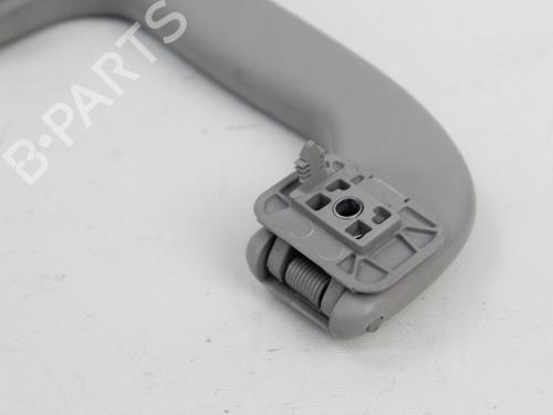 Interior roof handle OPEL CORSA D (S07) 1.2 (L08, L68) | BP19203971I35 