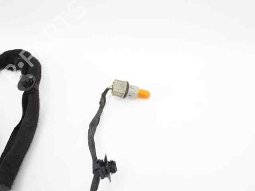 Wiring harness RENAULT CLIO III (BR0/1, CR0/1) 1.5 dCi (BR17, CR17) | BP19219339E16 