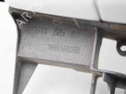 Rear left exterior door handle CITROËN C3 II (SC_) 1.4 HDi 70 (SC8HZC, SC8HR0, SC8HP4) | BP19229458C130 