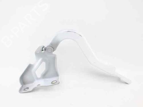 Hinge/Door check strap DACIA JOGGER (RK_) 1.0 TCe 90 ECO-G (RKMT) | BP31366937C146