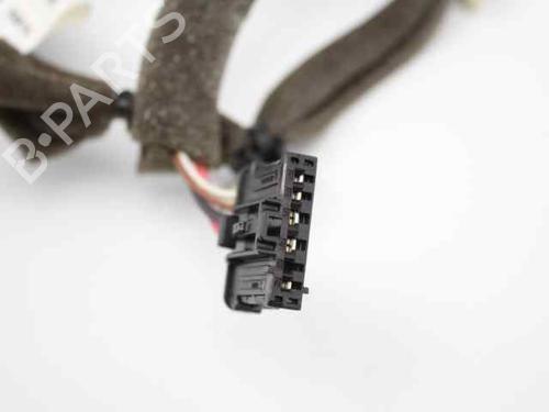 Wiring harness RENAULT SCÉNIC III (JZ0/1_) 1.5 dCi (JZ02, JZ0R) | BP19234993E16 