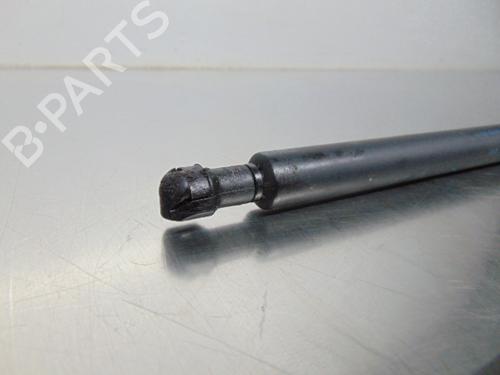 Tailgate lift support OPEL AGILA (A) (H00) 1.0 (F68) | BP19194285C138 