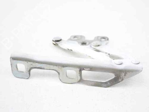 Hinge/Door check strap OPEL CORSA D (S07) 1.3 CDTI (L08, L68) | BP19234391C146 