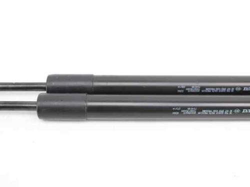 Tailgate lift support RENAULT CLIO IV (BH_) 1.2 16V | BP19230732C138 