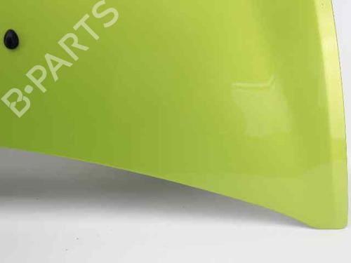 Hood RENAULT CLIO III (BR0/1, CR0/1)  | BP19237376C1 