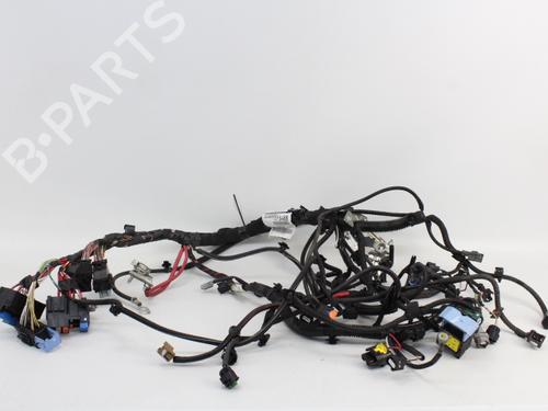 Used Wiring harness RENAULT CLIO IV (BH_) 1.5 dCi 75 (75 hp) 19204585