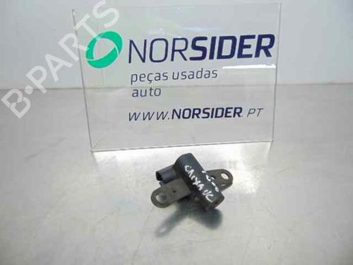 Elektronische sonde RENAULT SCÉNIC II (JM0/1_) 1.5 dCi (JM0F) (82 hp) 19192034