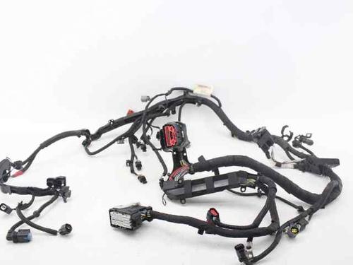 Used Wiring harness Wiring harness FORD ECOSPORT [2011-2022] 33712604 33712604