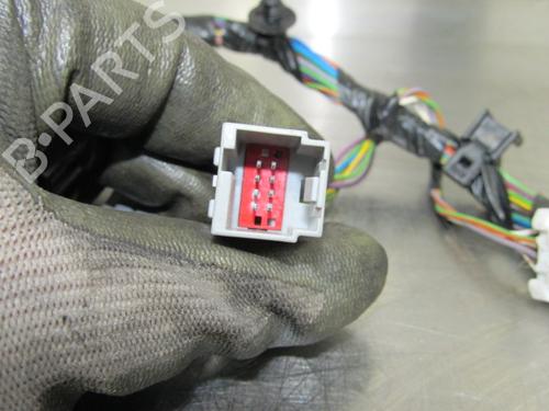 Wiring harness FORD FIESTA VI (CB1, CCN) 1.4 TDCi | BP19194522E16 